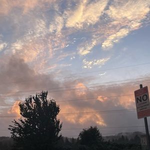 Meet your Posher, Zoey